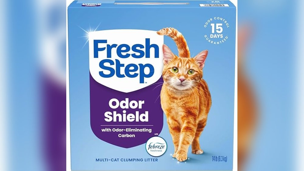 Best Clumping Cat Litter Review