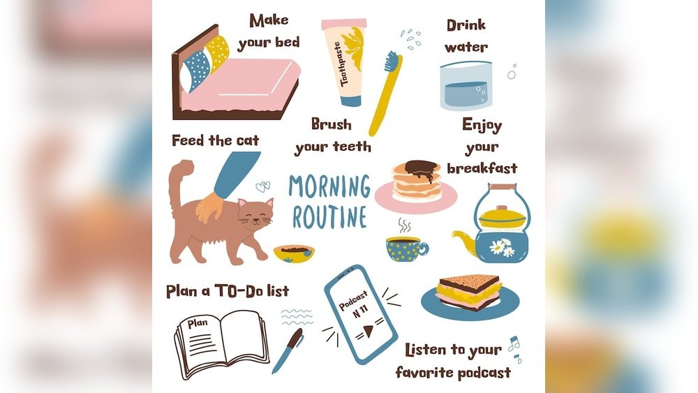 Daily Routine for a House Cat