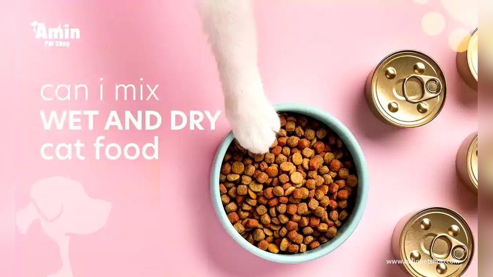 What are the Benefits of Mixing Wet And Dry Cat Food