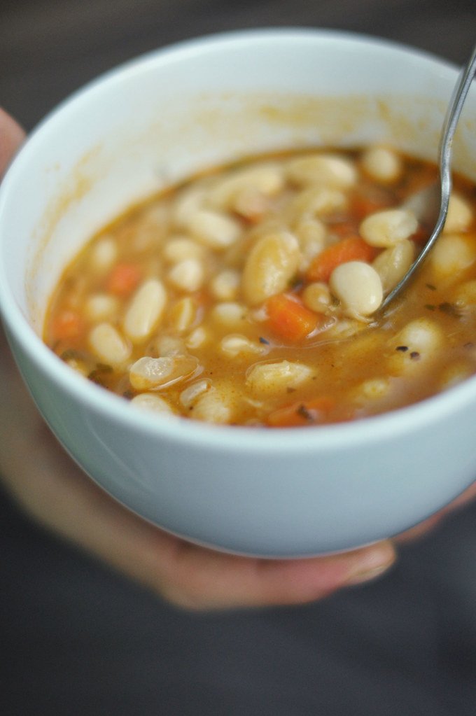 Toxic Foods Cats Should Never Eat: A Complete Safety List