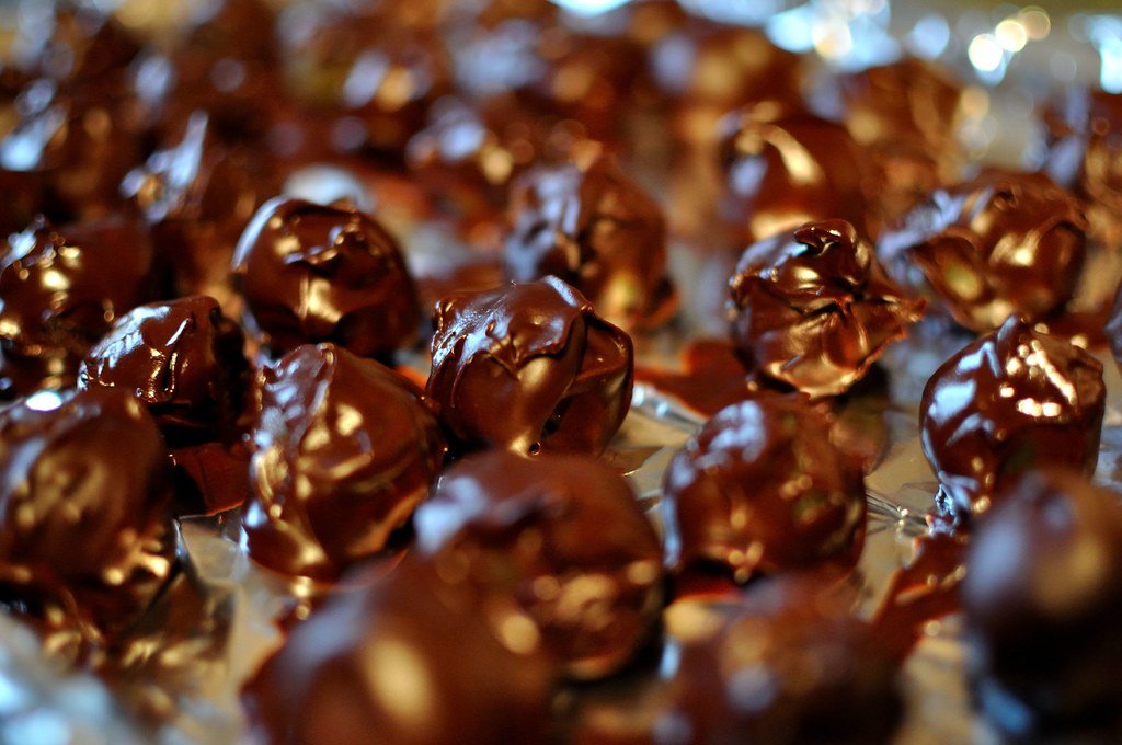Toxic Foods Dogs Should Never Eat