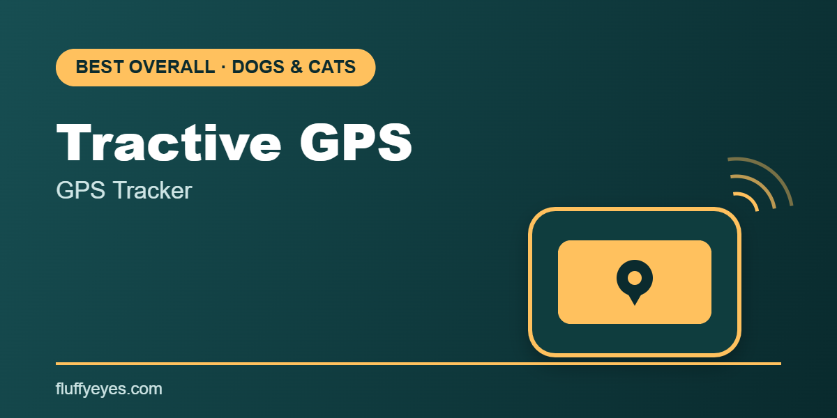 Tractive GPS tracker for dogs and cats